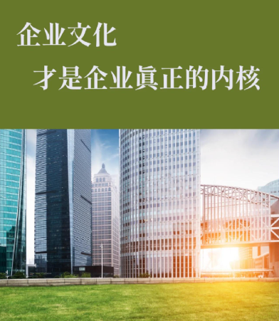 青岛企业官网建设服务对比：定制开发与模板建站的核心差异解析